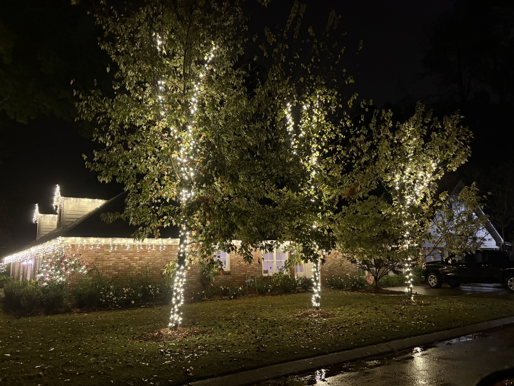Christmas light installation at night