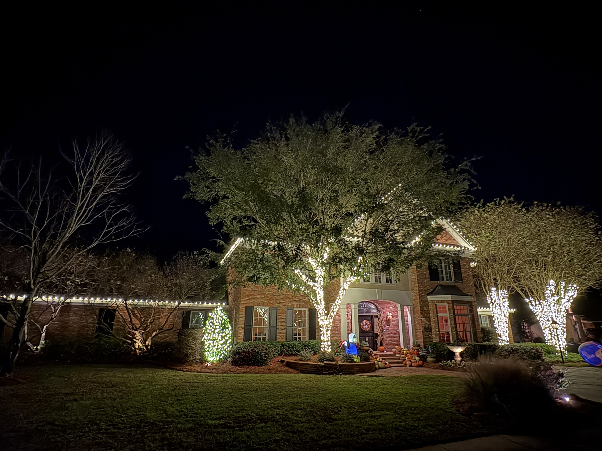 Professional holiday lighting installation
